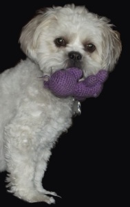 Adama modeling the Small Purple Hippo.  We feature toys for children and pets.